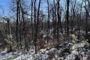 16410 Waltz Ln, Boscobel,  53805 - Photo 34