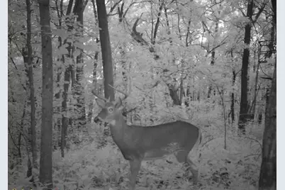 16410 Waltz Lane, Boscobel,  53805 - Photo 60