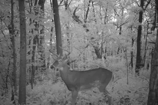 16410 Waltz Ln, Boscobel,  53805 - Photo 60