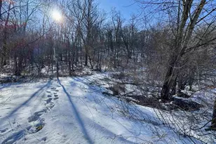 16410 Waltz Ln, Boscobel,  53805 - Photo 46