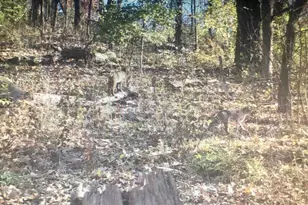 16410 Waltz Ln, Boscobel,  53805 - Photo 58