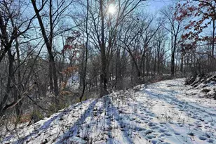 16410 Waltz Ln, Boscobel,  53805 - Photo 36