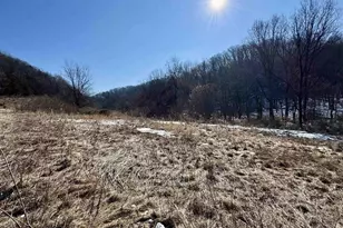 16410 Waltz Ln, Boscobel,  53805 - Photo 50