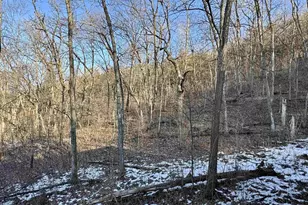 16410 Waltz Ln, Boscobel,  53805 - Photo 28