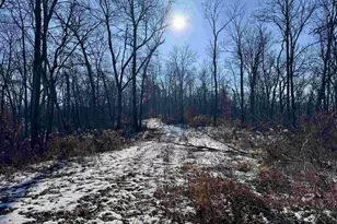 16410 Waltz Ln, Boscobel,  53805 - Photo 32