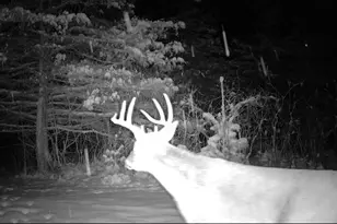 E13848 Dan Mar Ct, Merrimac, WI 53561 - Photo 34