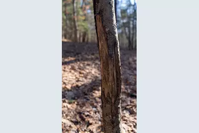 W7113 Leigh Road, Mauston, WI 53948 - Photo 22