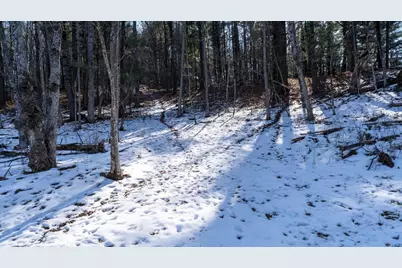 W7113 Leigh Road, Mauston, WI 53948 - Photo 46