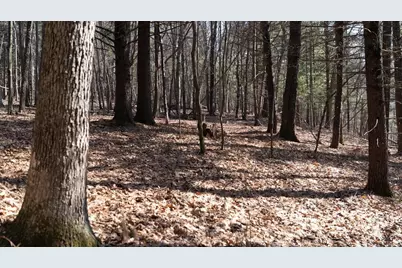 W7113 Leigh Road, Mauston, WI 53948 - Photo 28