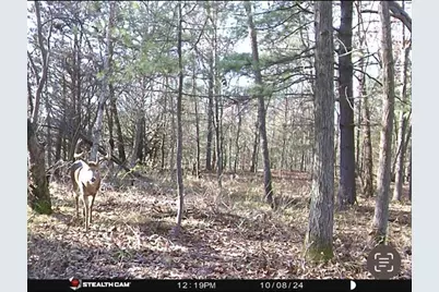 W7113 Leigh Road, Mauston, WI 53948 - Photo 4