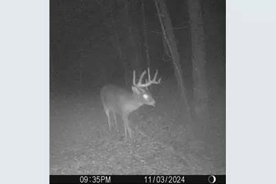 W7113 Leigh Road, Mauston, WI 53948 - Photo 1