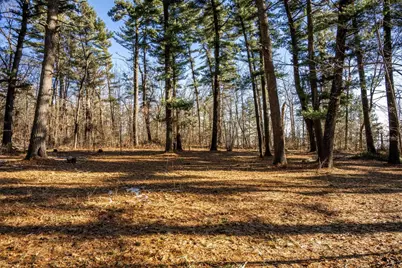 W3751 7th Street, Necedah, WI 54646 - Photo 4