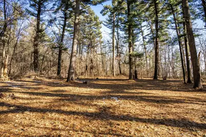 W3751 7th Street, Necedah, WI 54646 - Photo 2