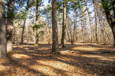 W3751 7th Street, Necedah, WI 54646 - Photo 6