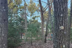 279 Lake Shore Dr, Oxford, WI 53952 - Photo 22