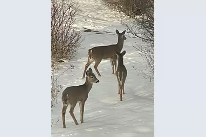 2638 Sweet Sparrow Place, Sun Prairie, WI 53590 - Photo 64