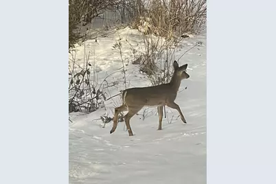 2638 Sweet Sparrow Place, Sun Prairie, WI 53590 - Photo 40