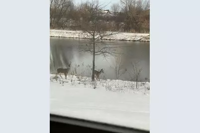 2638 Sweet Sparrow Place, Sun Prairie, WI 53590 - Photo 42