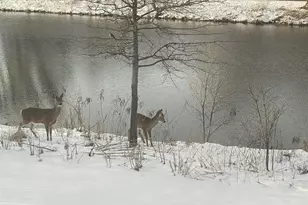 2638 Sweet Sparrow Pl, Sun Prairie, WI 53590 - Photo 42