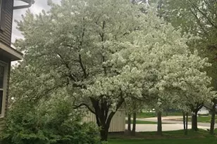 3334 Swinburne Dr, Mcfarland, WI 53558 - Photo 44