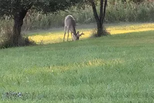 W12811 Kassner Rd, Wisconsin Dells, WI 53965 - Photo 42