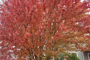 9014 Pine Hollow Pl, Madison, WI 53593 - Photo 54