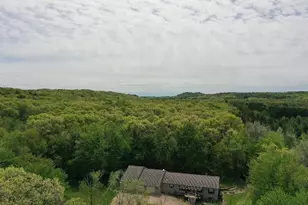 W15501 US Hwy 10, Fairchild, WI 54741 - Photo 58