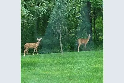 W15501 US Highway 10, Fairchild, WI 54741 - Photo 70