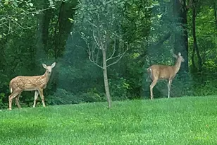 W15501 US Hwy 10, Fairchild, WI 54741 - Photo 70