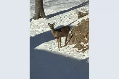 9714 Highway 19, Mazomanie, WI 53560 - Photo 72
