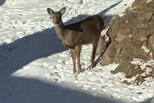 9714 Hwy 19, Mazomanie, WI 53560 - Photo 72