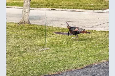 1114 Starlight Drive, Madison, WI 53711 - Photo 40