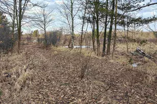 7223 County Hwy V, Marshfield, WI 54449 - Photo 4