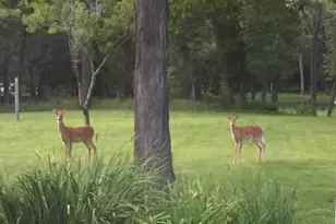 6834 W Thornapple Dr, Janesville, WI 53548 - Photo 46