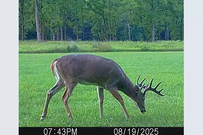 35.42 Acres Fox River Road, Portage, WI 53901 - Photo 42