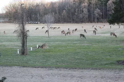 35.42 Acres Fox River Road, Portage, WI 53901 - Photo 40