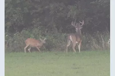 35.42 Acres Fox River Road, Portage, WI 53901 - Photo 44