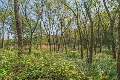 35.42 Acres Fox River Road, Portage, WI 53901 - Photo 22