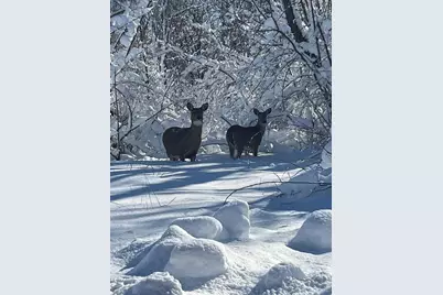 1817 Arboretum Drive, Janesville, WI 53548 - Photo 44