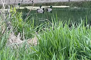 1817 Arboretum Dr, Janesville, WI 53548 - Photo 44