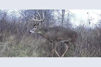 79 Acres, Byers Rd, Boscobel, WI 53805 - Photo 18