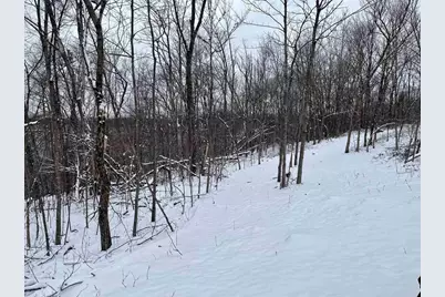 79 Acres, Byers Rd, Boscobel, WI 53805 - Photo 2