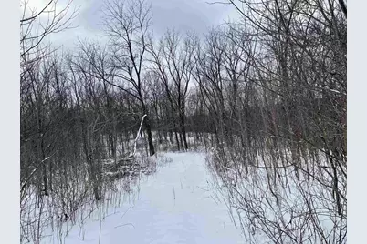 79 Acres, Byers Rd, Boscobel, WI 53805 - Photo 6