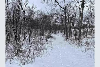 79 Acres, Byers Rd, Boscobel, WI 53805 - Photo 10