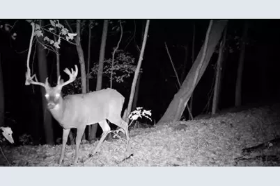 79 Acres, Byers Rd, Boscobel, WI 53805 - Photo 14