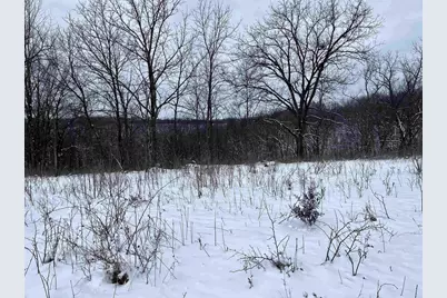 79 Acres, Byers Rd, Boscobel, WI 53805 - Photo 8