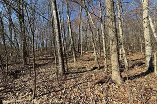 S7165 Lake Rd, Hillpoint, WI 53937 - Photo 28