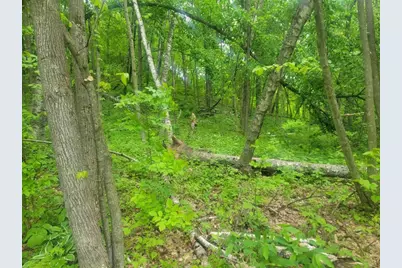 S7165 Lake Road, Hillpoint, WI 53937 - Photo 24