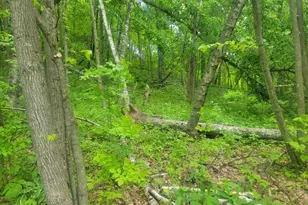 S7165 Lake Rd, Hillpoint, WI 53937 - Photo 24