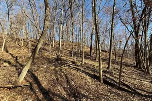 S7165 Lake Rd, Hillpoint, WI 53937 - Photo 22